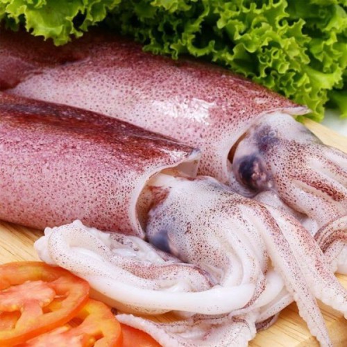 mực ống hàng tươi sống mỗi ngày
